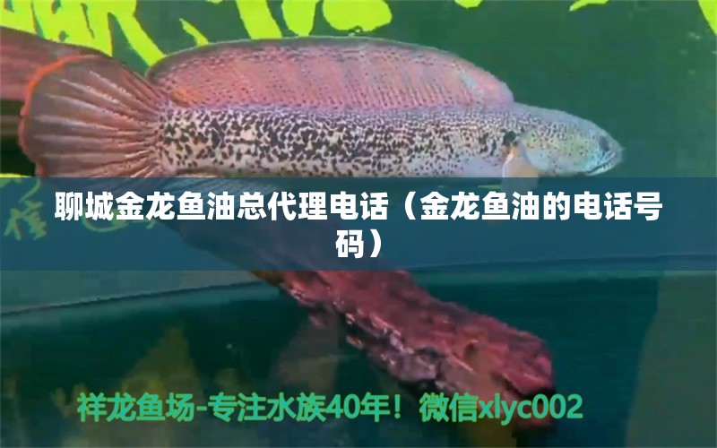 聊城金龙鱼油总代理电话（金龙鱼油的电话号码） 照明器材