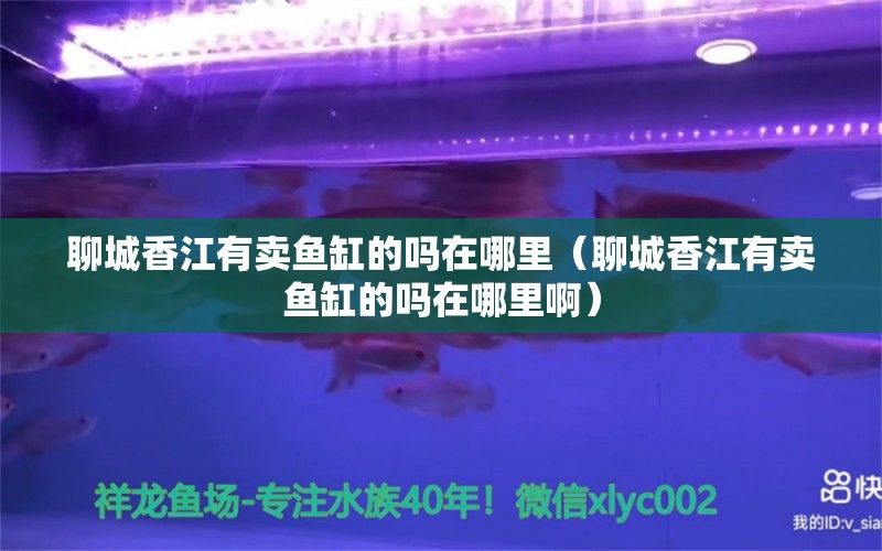 聊城香江有卖鱼缸的吗在哪里（聊城香江有卖鱼缸的吗在哪里啊）