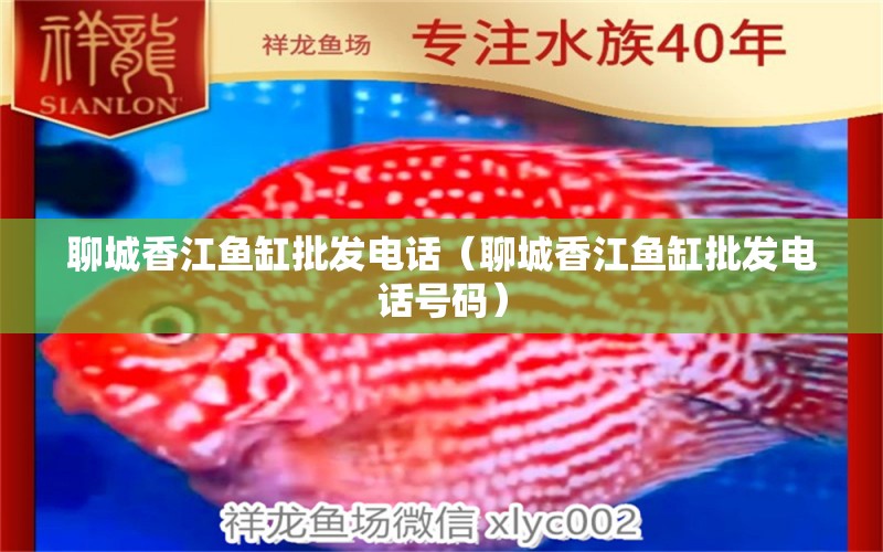 聊城香江鱼缸批发电话（聊城香江鱼缸批发电话号码） 祥龙水族医院