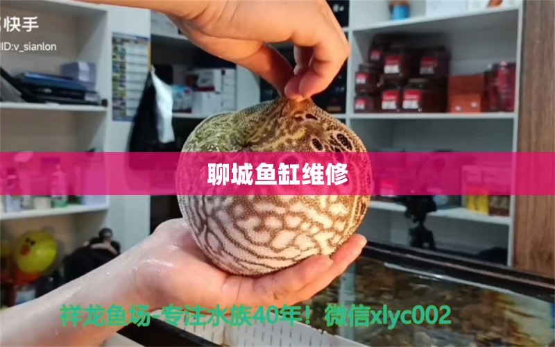 聊城鱼缸维修