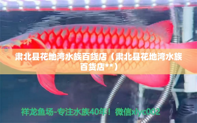 肃北县花地湾水族百货店（肃北县花地湾水族百货店**）