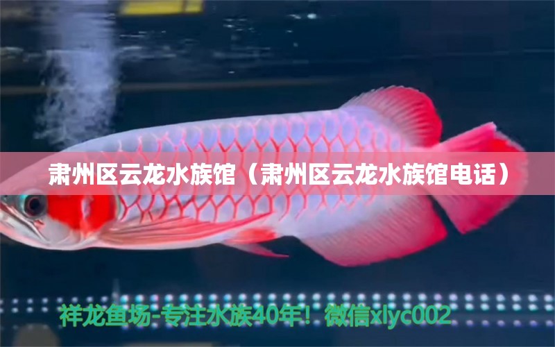 肃州区云龙水族馆（肃州区云龙水族馆电话）