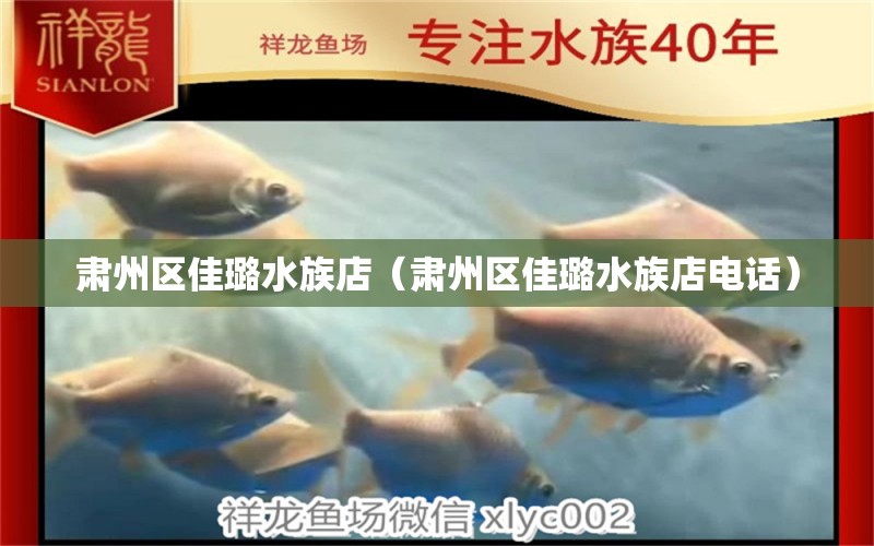 肃州区佳璐水族店（肃州区佳璐水族店电话）