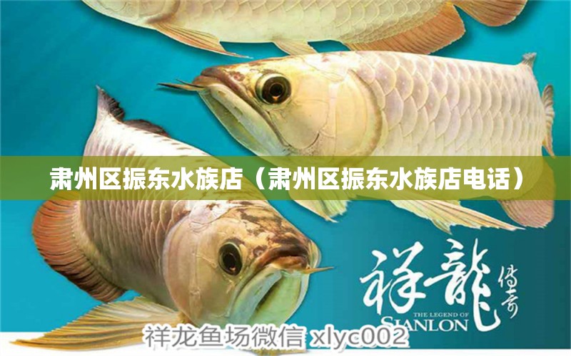 肃州区振东水族店（肃州区振东水族店电话）