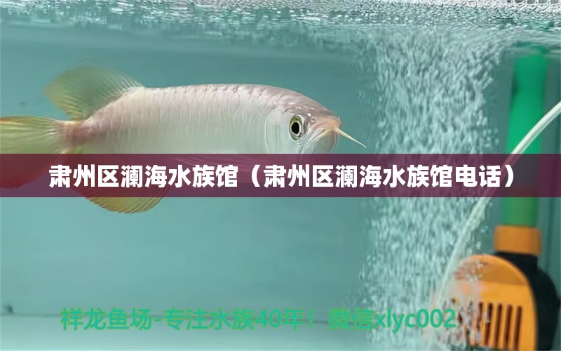 肃州区澜海水族馆（肃州区澜海水族馆电话） 全国水族馆企业名录