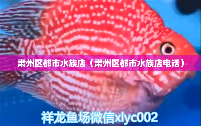 肃州区都市水族店（肃州区都市水族店电话）