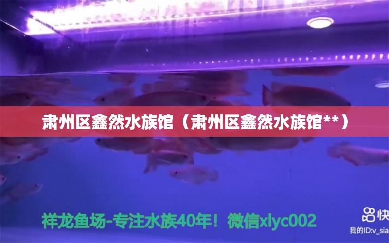 肃州区鑫然水族馆（肃州区鑫然水族馆**）