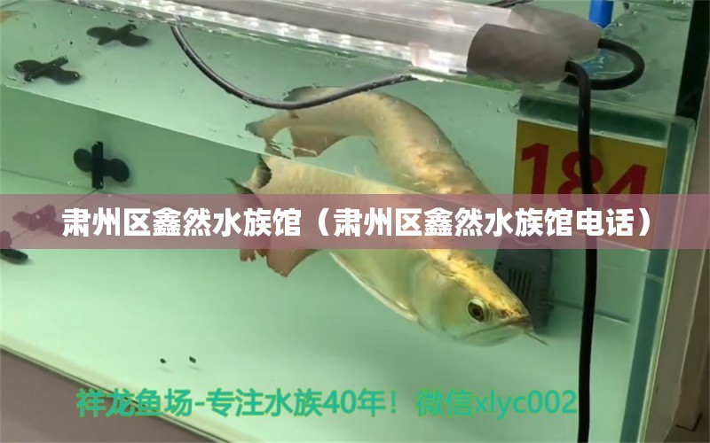 肃州区鑫然水族馆（肃州区鑫然水族馆电话） 全国水族馆企业名录