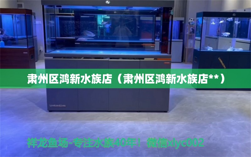 肃州区鸿新水族店（肃州区鸿新水族店**）