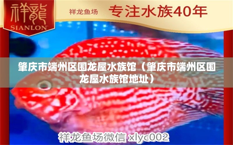 肇庆市端州区围龙屋水族馆（肇庆市端州区围龙屋水族馆地址） 全国水族馆企业名录