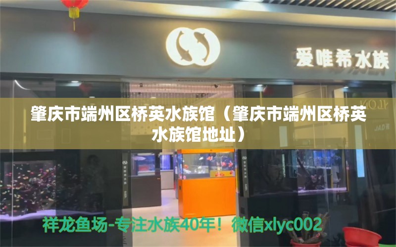 肇庆市端州区桥英水族馆（肇庆市端州区桥英水族馆地址）