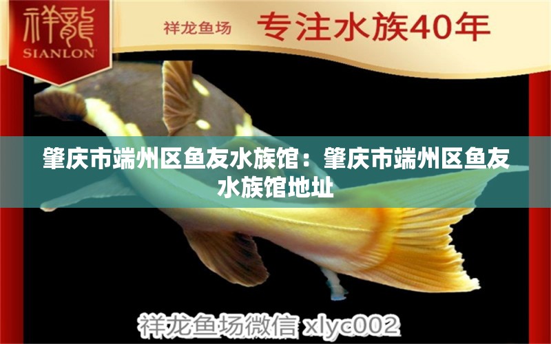 肇庆市端州区鱼友水族馆：肇庆市端州区鱼友水族馆地址