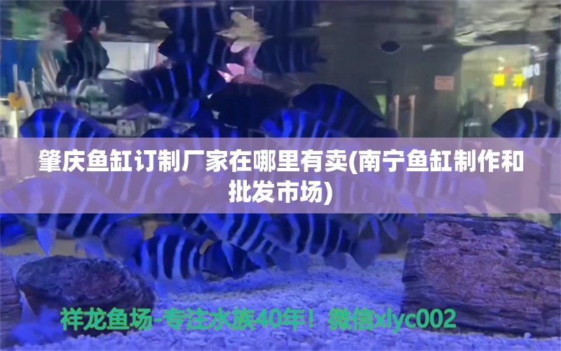 肇庆鱼缸订制厂家在哪里有卖(南宁鱼缸制作和批发市场)