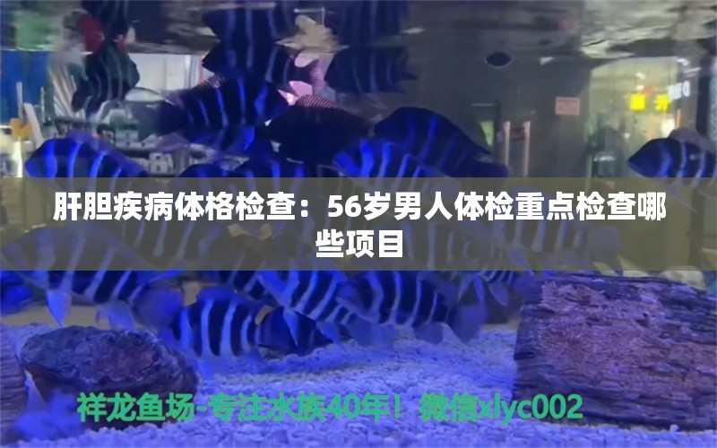 肝胆疾病体格检查：56岁男人体检重点检查哪些项目