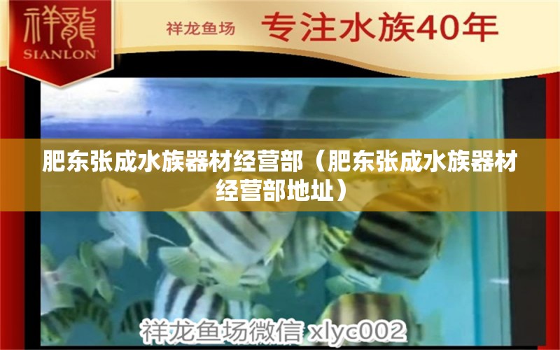 肥东张成水族器材经营部（肥东张成水族器材经营部地址）