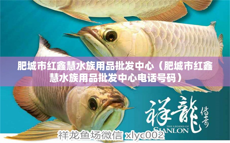 肥城市红鑫慧水族用品批发中心（肥城市红鑫慧水族用品批发中心电话号码） 水族用品