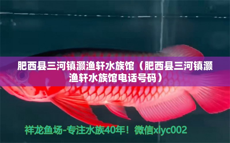 肥西县三河镇灏渔轩水族馆（肥西县三河镇灏渔轩水族馆电话号码）