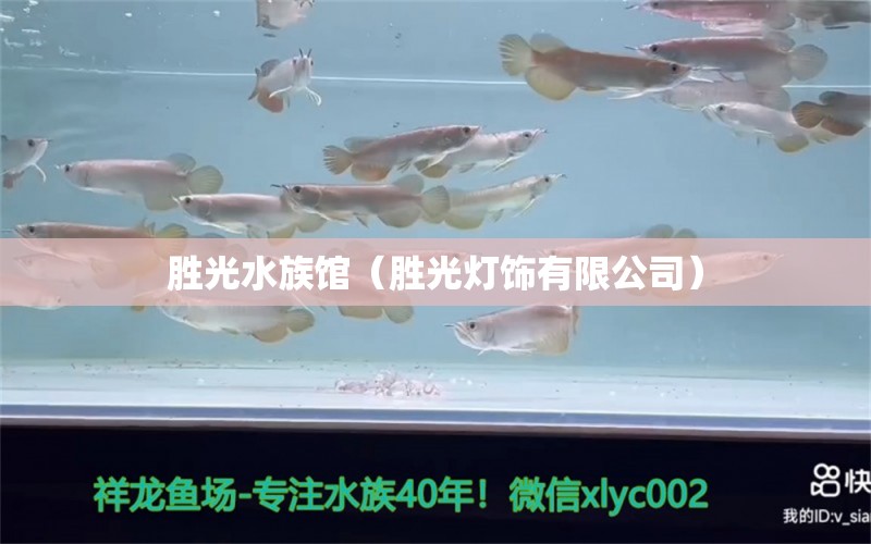 胜光水族馆（胜光灯饰有限公司）