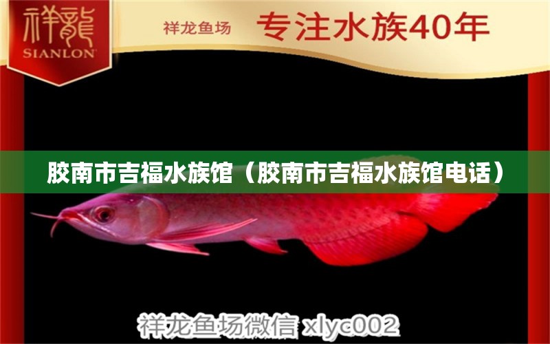 胶南市吉福水族馆（胶南市吉福水族馆电话）