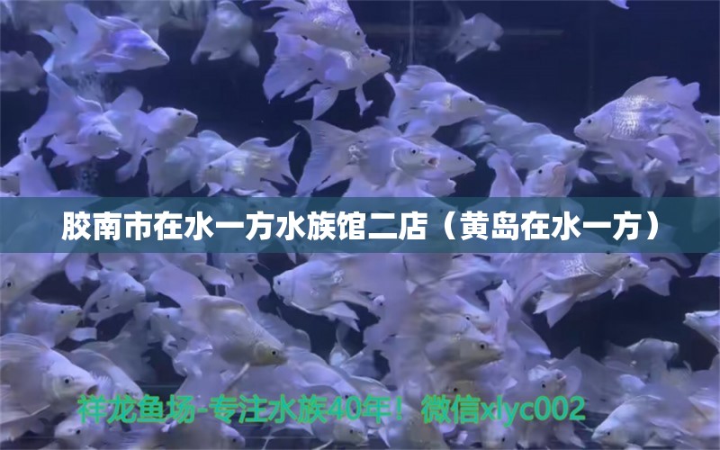 胶南市在水一方水族馆二店（黄岛在水一方）