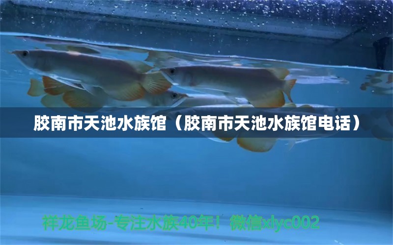 胶南市天池水族馆（胶南市天池水族馆电话）