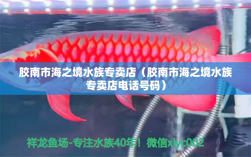 胶南市海之境水族专卖店（胶南市海之境水族专卖店电话号码）