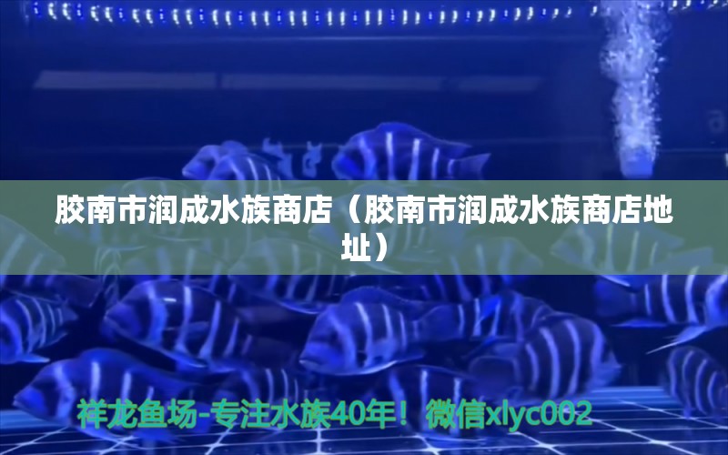 胶南市润成水族商店（胶南市润成水族商店地址） 全国水族馆企业名录