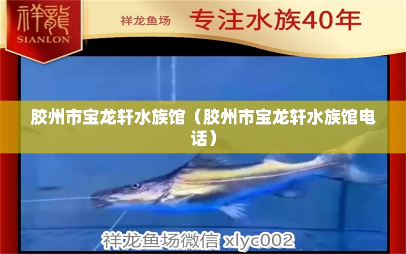 胶州市宝龙轩水族馆（胶州市宝龙轩水族馆电话） 全国水族馆企业名录