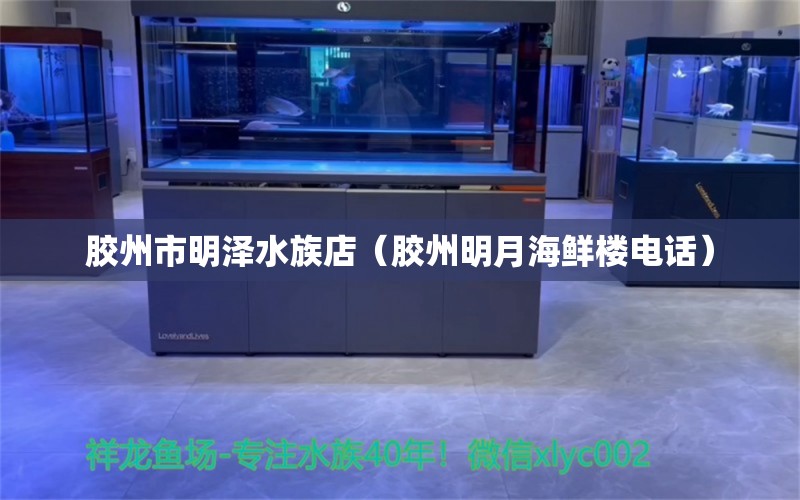 胶州市明泽水族店（胶州明月海鲜楼电话）