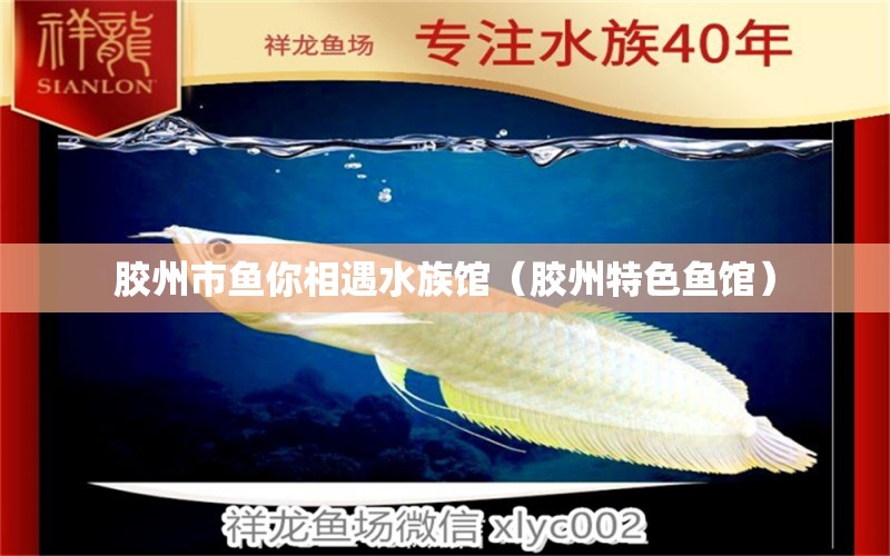 胶州市鱼你相遇水族馆（胶州特色鱼馆）