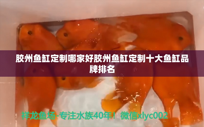 胶州鱼缸定制哪家好胶州鱼缸定制十大鱼缸品牌排名