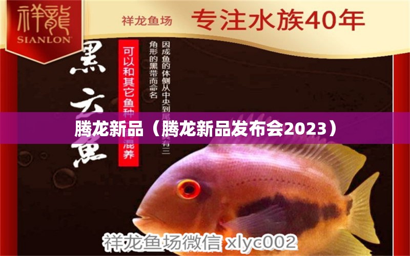 腾龙新品（腾龙新品发布会2023） 广州龙鱼批发市场