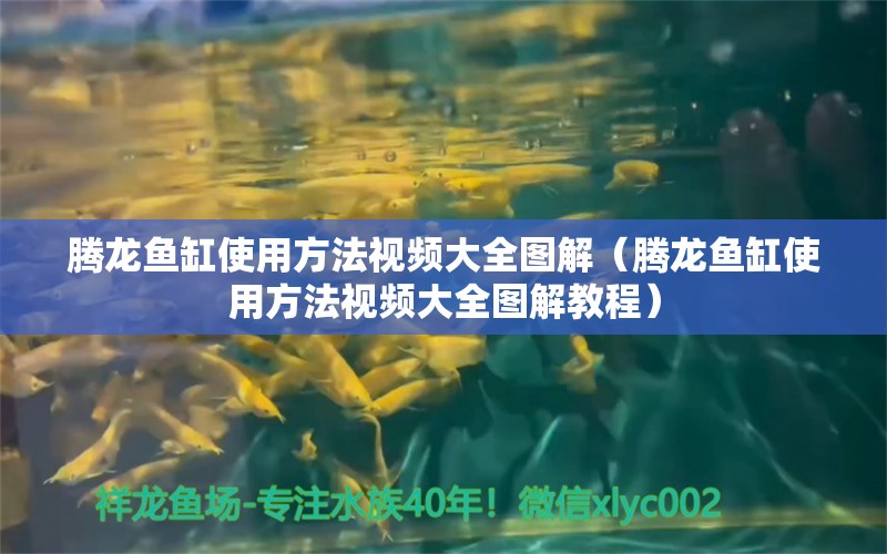 腾龙鱼缸使用方法视频大全图解（腾龙鱼缸使用方法视频大全图解教程） 广州龙鱼批发市场