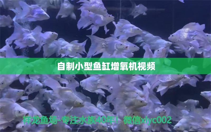 自制小型鱼缸增氧机视频 水族问答 第2张