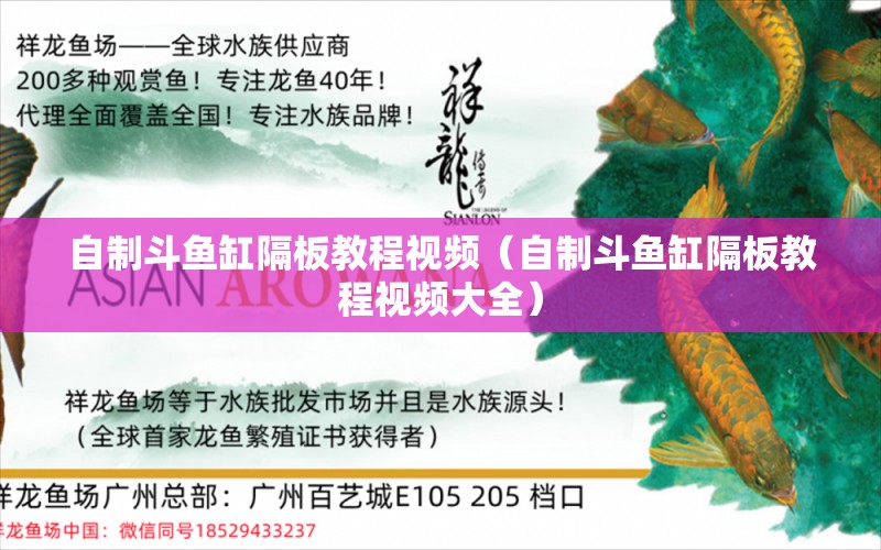 自制斗鱼缸隔板教程视频（自制斗鱼缸隔板教程视频大全） 2024第28届中国国际宠物水族展览会CIPS（长城宠物展2024 CIPS）