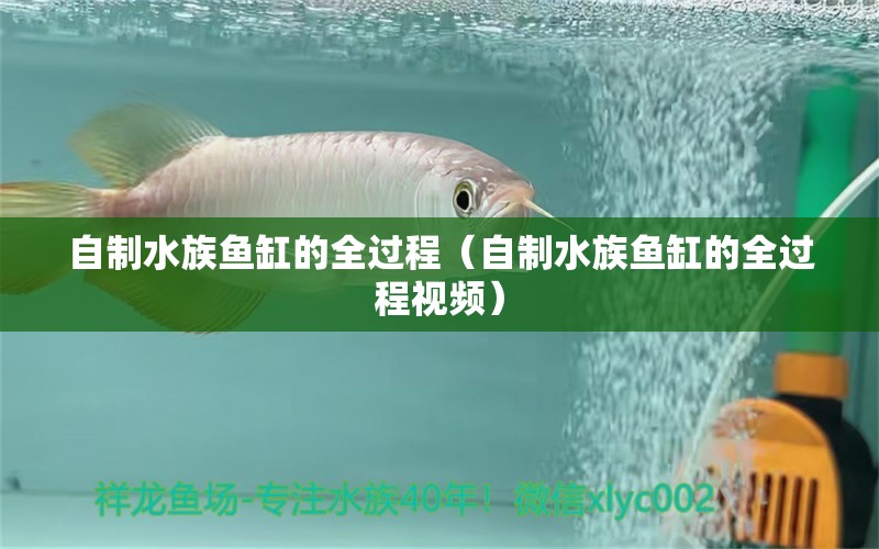 自制水族鱼缸的全过程（自制水族鱼缸的全过程视频）