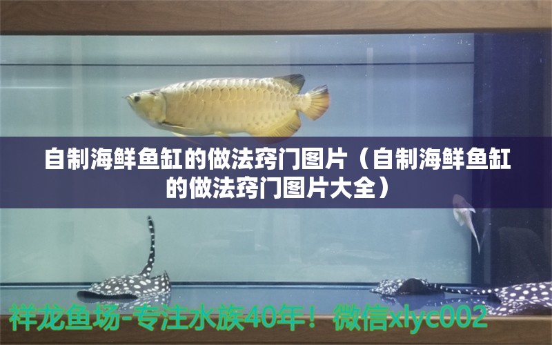 自制海鲜鱼缸的做法窍门图片（自制海鲜鱼缸的做法窍门图片大全）