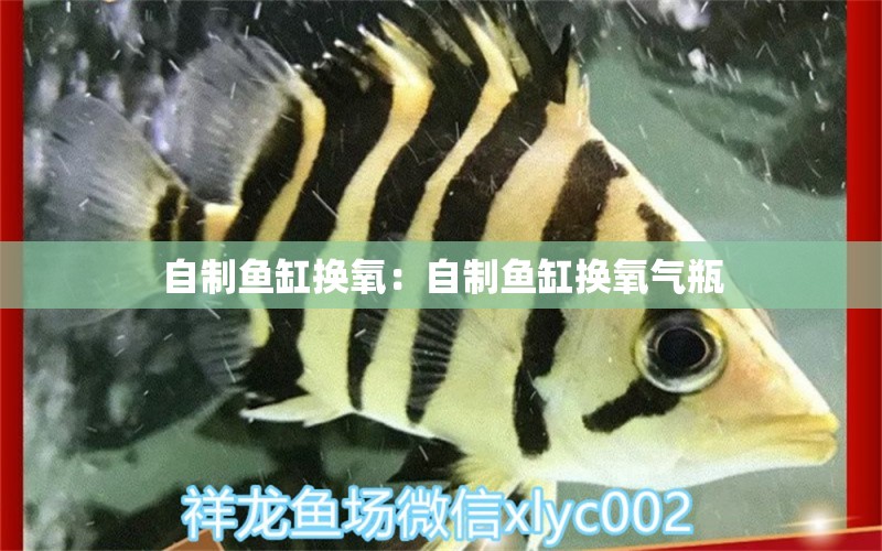 自制鱼缸换氧：自制鱼缸换氧气瓶