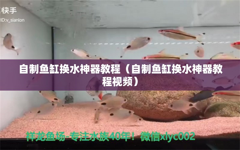 自制鱼缸换水神器教程（自制鱼缸换水神器教程视频） 战车红龙鱼