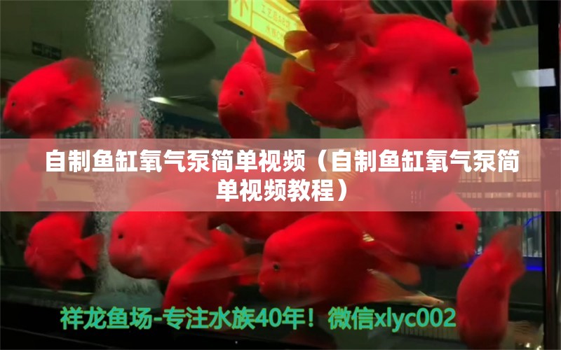 自制鱼缸氧气泵简单视频（自制鱼缸氧气泵简单视频教程）