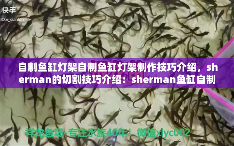 自制鱼缸灯架自制鱼缸灯架制作技巧介绍，sherman的切割技巧介绍：sherman鱼缸自制鱼缸灯架制作技巧介绍 鱼缸百科 第2张