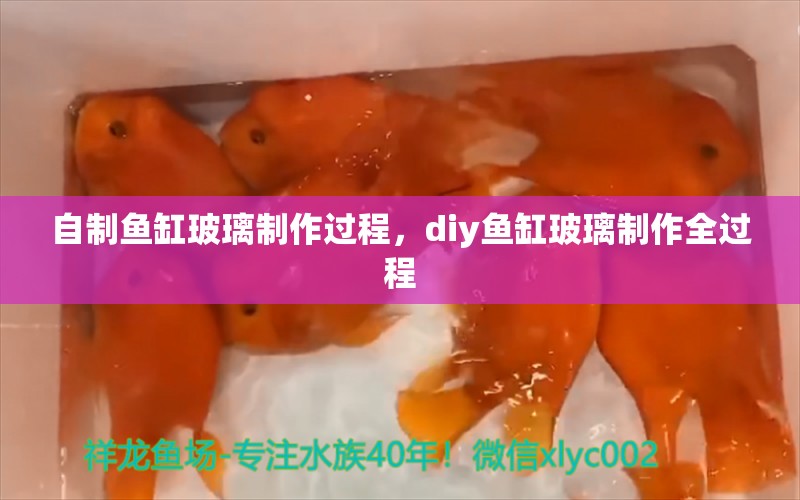 自制鱼缸玻璃制作过程，diy鱼缸玻璃制作全过程