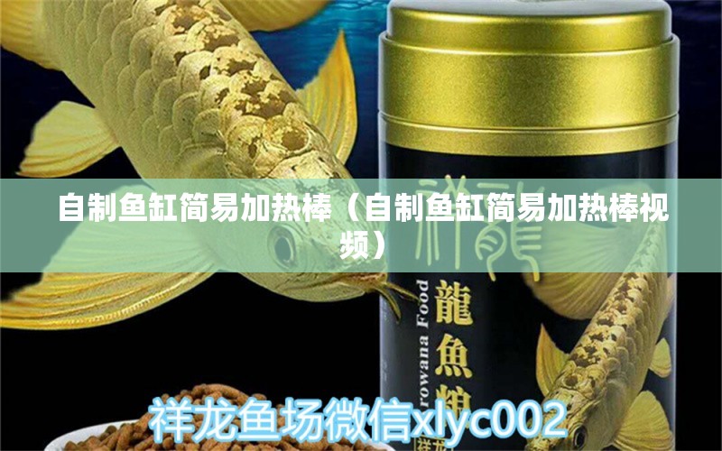 自制鱼缸简易加热棒（自制鱼缸简易加热棒视频） 祥龙水族医院