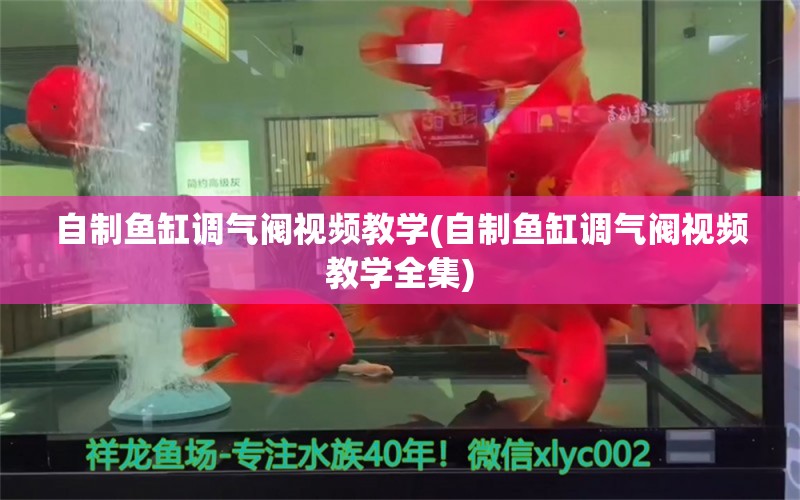 自制鱼缸调气阀视频教学(自制鱼缸调气阀视频教学全集)