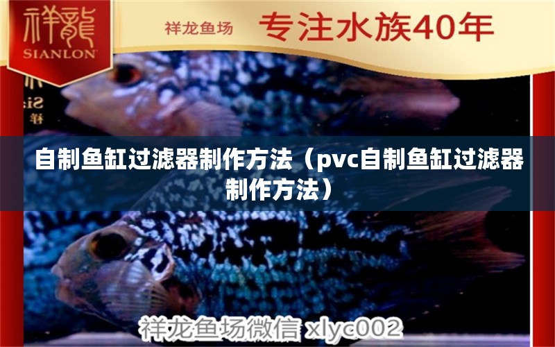 自制鱼缸过滤器制作方法（pvc自制鱼缸过滤器制作方法） 祥龙水族医院