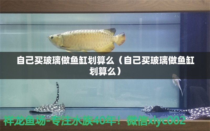 自己买玻璃做鱼缸划算么（自己买玻璃做鱼缸划算么）