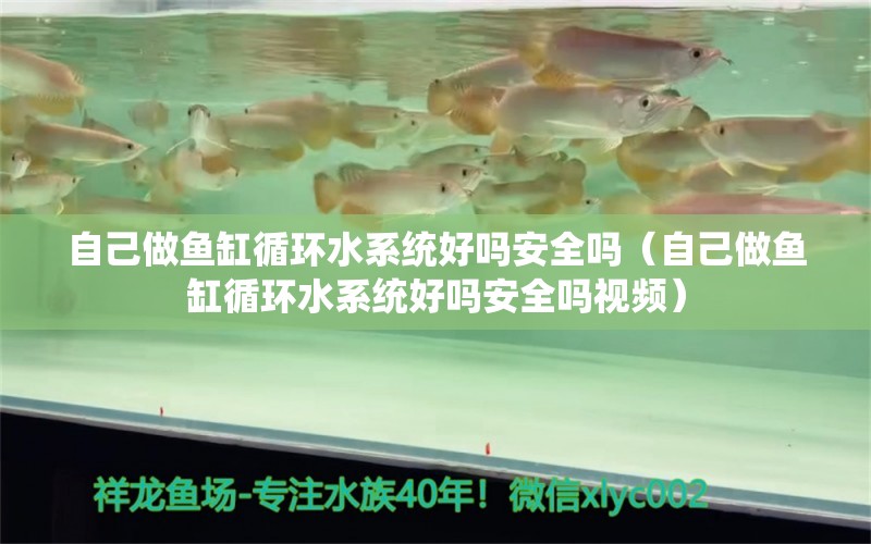 自己做鱼缸循环水系统好吗安全吗（自己做鱼缸循环水系统好吗安全吗视频） 其他品牌鱼缸