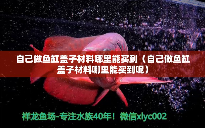 自己做鱼缸盖子材料哪里能买到（自己做鱼缸盖子材料哪里能买到呢）