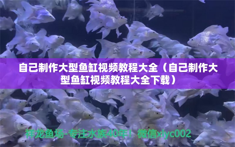 自己制作大型鱼缸视频教程大全（自己制作大型鱼缸视频教程大全下载） 观赏鱼市场（混养鱼）