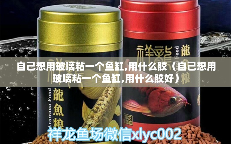 自己想用玻璃粘一个鱼缸,用什么胶（自己想用玻璃粘一个鱼缸,用什么胶好） 祥龙水族医院